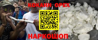 крисы Коммунар