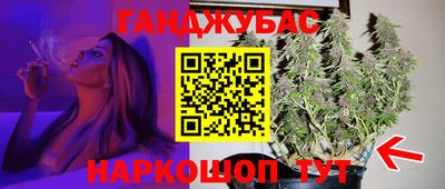 крисы Коммунар