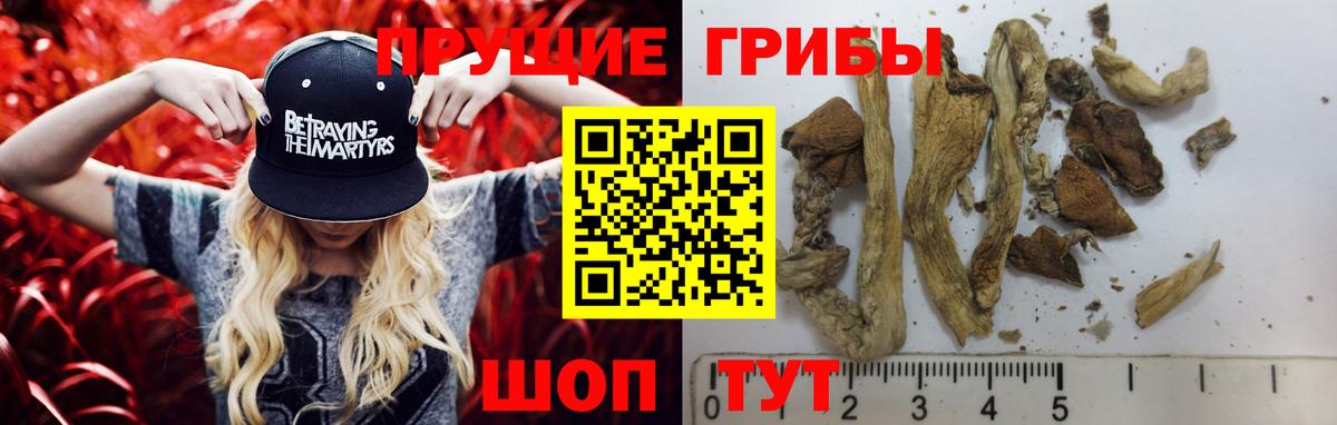 Галлюциногенные грибы MAGIC MUSHROOMS  Галлюциногенные грибы ЛСД  Вход с VPN  что такое   Ялта 